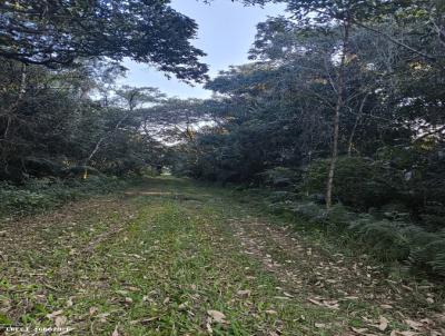 Terreno para Venda, em Perube, bairro Guara