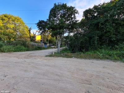 Terreno para Venda, em Peru�be, bairro Guara�