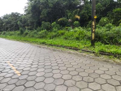 Terreno para Venda, em Peru�be, bairro Guara�