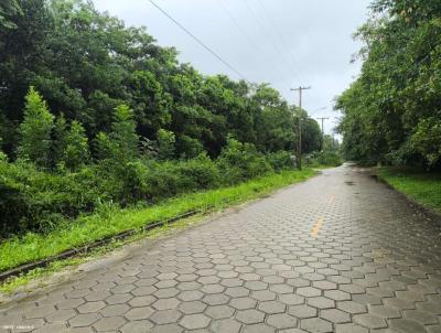 Terreno para Venda, em Peru�be, bairro Guara�